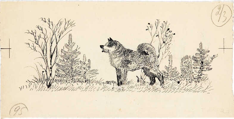 Курдов Валентин Иванович. Лот из двух иллюстраций к кн.: Бианки В. Собрание